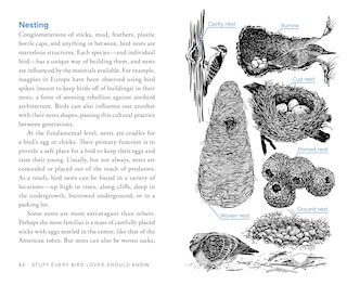 Aperçu du contenu 4_Stuff Every Bird Lover Should Know