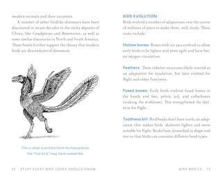 Aperçu du contenu 5_Stuff Every Bird Lover Should Know