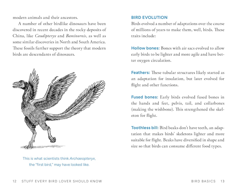 Aperçu du contenu 5_Stuff Every Bird Lover Should Know