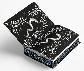 Sample content_Styx (Deluxe Limited Edition)