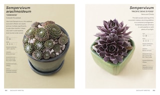 Aper&ccedil;u du contenu_Succulents