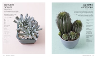 Aper&ccedil;u du contenu 4_Succulents