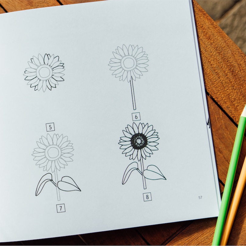 Sample content_Summer Things: How to Draw Books for Kids Featuring Beach Fun, Summer Camp, Picnics, and More