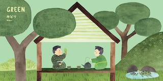 Aper&ccedil;u du contenu 2_Sumo Colors