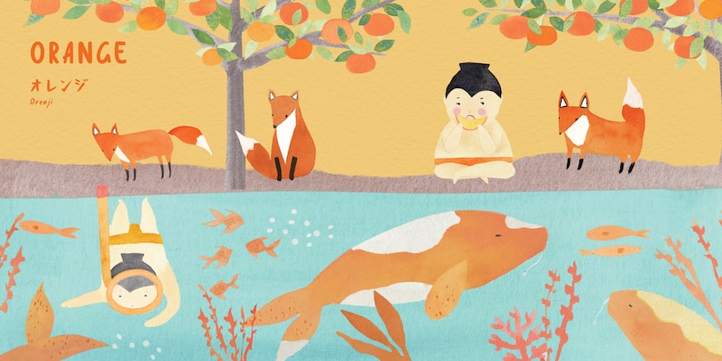 Aper&ccedil;u du contenu 4_Sumo Colors