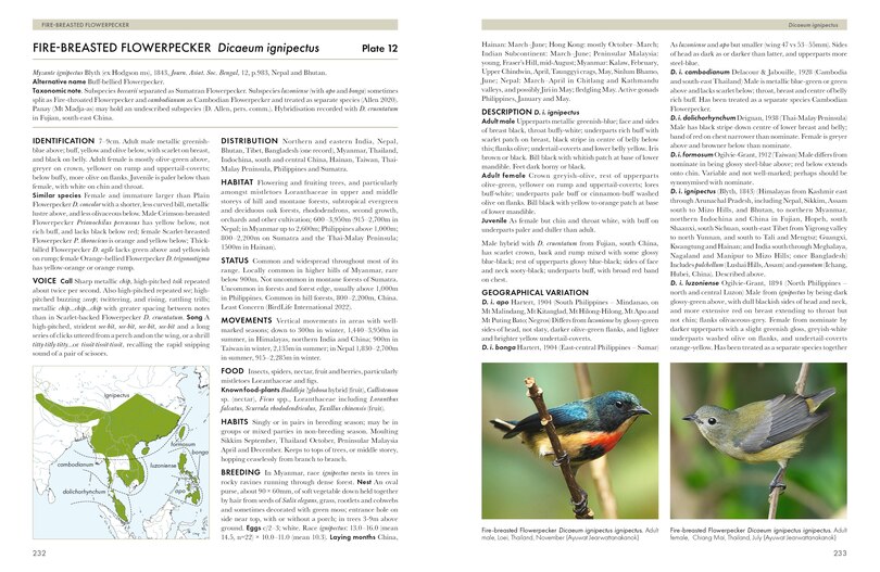 Sample content 2_Sunbirds of the World
