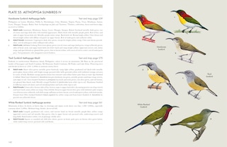 Sample content 3_Sunbirds of the World