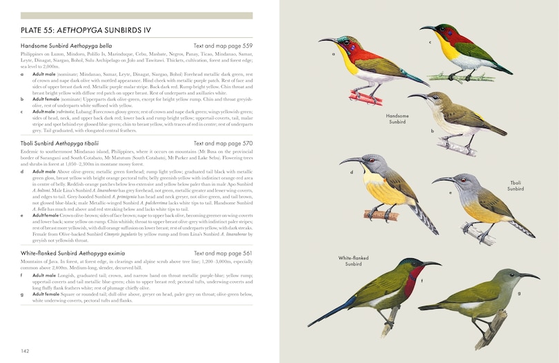 Sample content 3_Sunbirds of the World