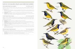 Sample content 4_Sunbirds of the World