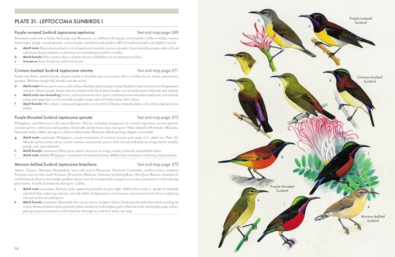 Sample content 5_Sunbirds of the World