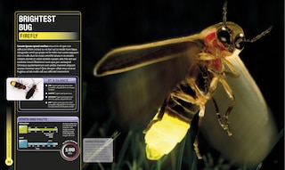 Sample content 2_Super Bug Encyclopedia