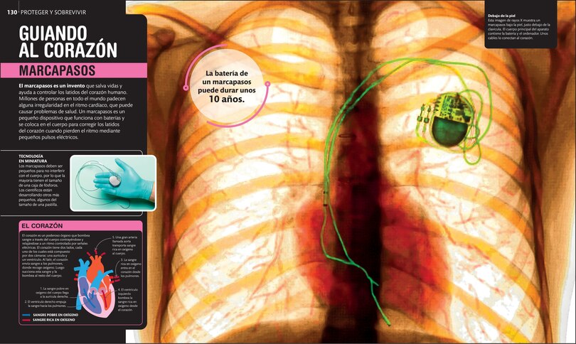 Aperçu du contenu 2_Super ciencia (Super Science Encyclopedia)