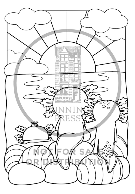 Sample content_Super-Cute Axolotls