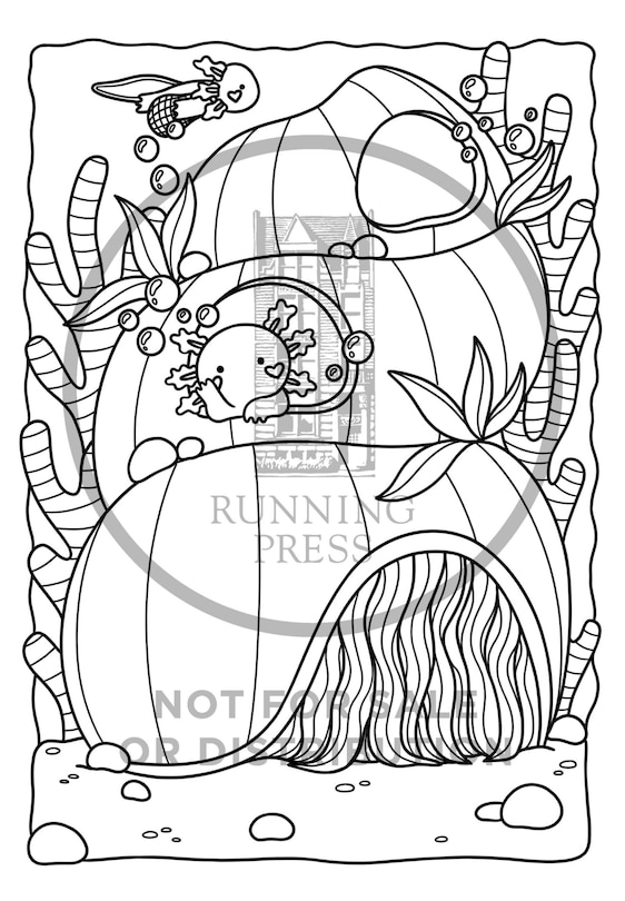 Sample content 3_Super-Cute Axolotls