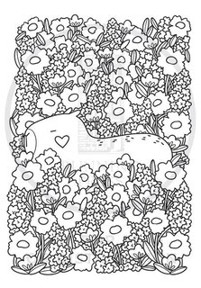 Sample content 2_Super-Cute Capybaras