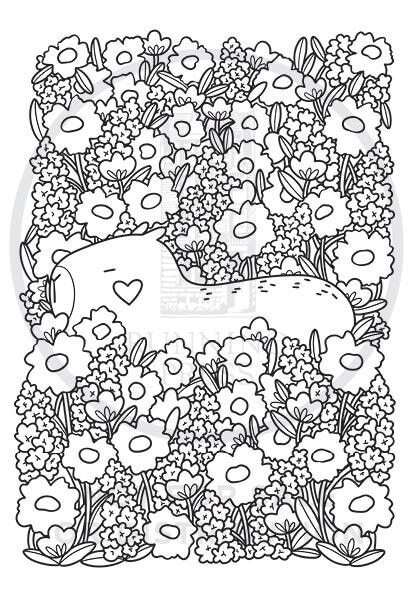 Sample content 2_Super-Cute Capybaras