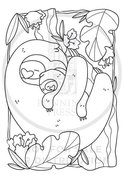 Aperçu du contenu 2_Super-Cute Sloths