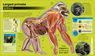 Aperçu du contenu_Super Nature Encyclopedia