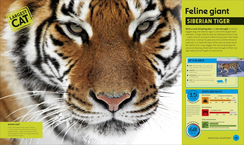 Aperçu du contenu 2_Super Nature Encyclopedia