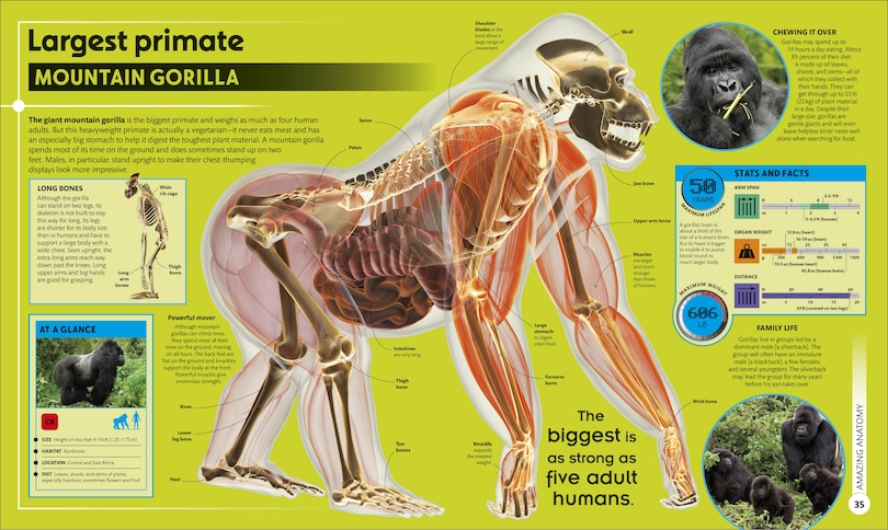 Aper&ccedil;u du contenu 3_Super Nature Encyclopedia