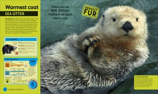 Aper&ccedil;u du contenu 5_Super Nature Encyclopedia