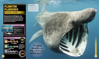 Sample content_Super Shark Encyclopedia