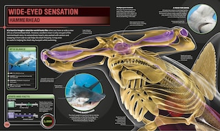 Sample content 4_Super Shark Encyclopedia