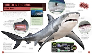 Sample content 5_Super Shark Encyclopedia