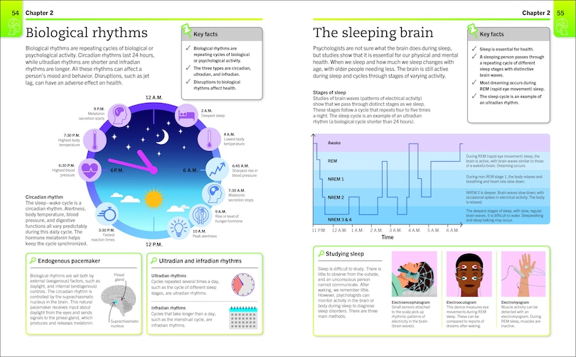 Sample content 3_Super Simple Psychology