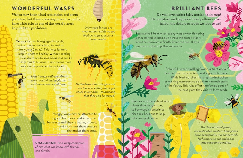 Aper&ccedil;u du contenu_Superhero Animals