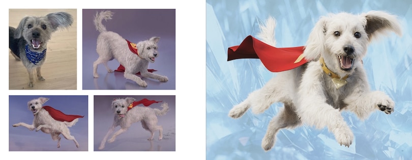 Aperçu du contenu 3_Superman: The Art and Making of the Film