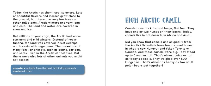 Sample content 3_Surprising Mammals Of The Ancient Arctic
