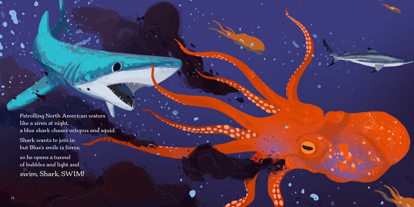 Sample content 2_Swim, Shark, Swim!