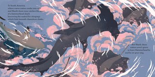 Sample content 4_Swim, Shark, Swim!