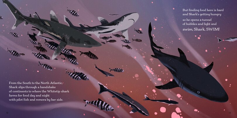 Aper&ccedil;u du contenu_Swim, Shark, Swim!