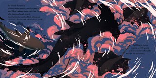 Aper&ccedil;u du contenu 2_Swim, Shark, Swim!