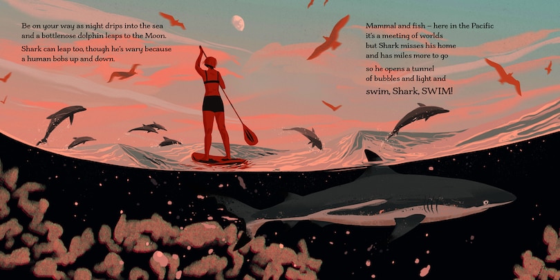 Aper&ccedil;u du contenu 3_Swim, Shark, Swim!