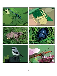 Sample content_System Preference