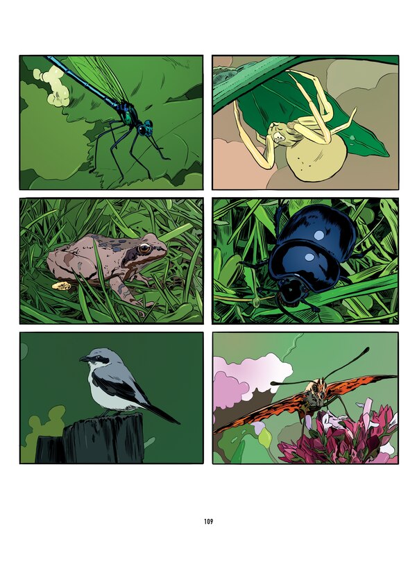 Sample content_System Preference