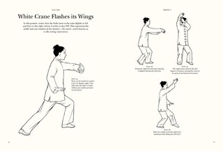 Sample content 5_Tai Chi