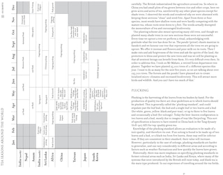 Aper&ccedil;u du contenu 3_Tales of the Tea Trade