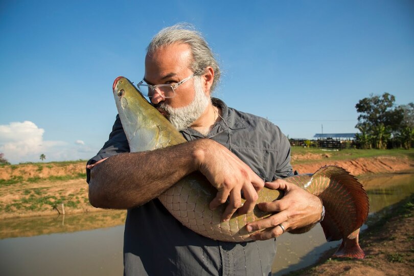 Aperçu du contenu 2_Taranta
