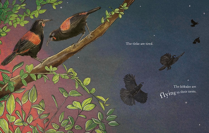 Aper&ccedil;u du contenu 3_Te Ngahere i te Po