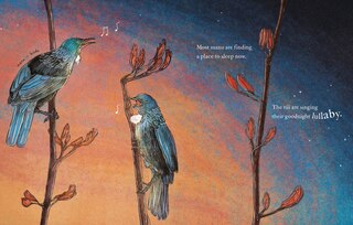 Aper&ccedil;u du contenu 4_Te Ngahere i te Po