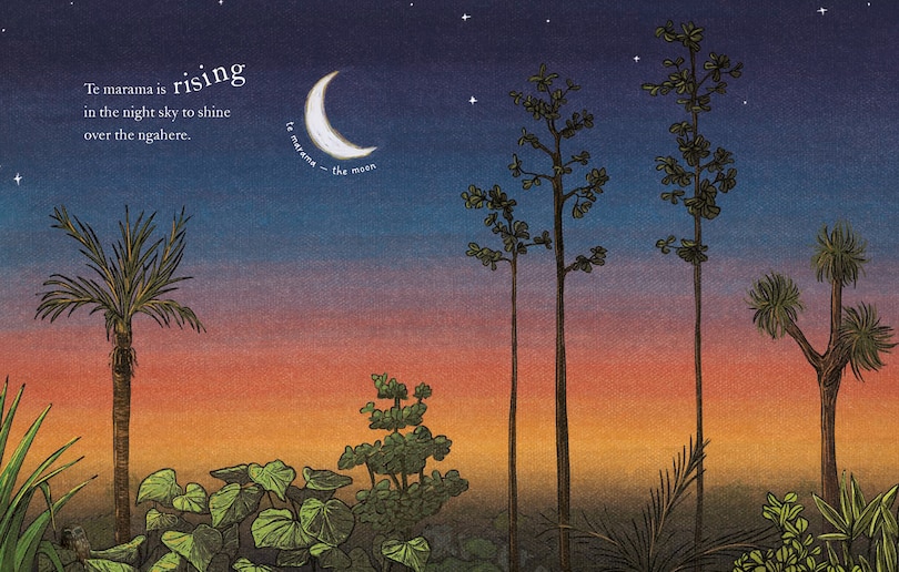 Aper&ccedil;u du contenu 5_Te Ngahere i te Po