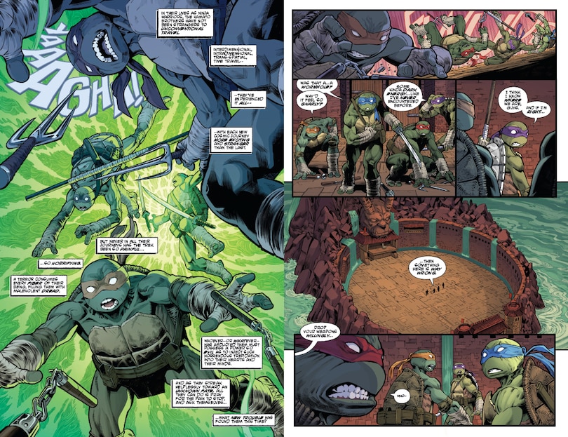 Aper&ccedil;u du contenu_Teenage Mutant Ninja Turtles: Battle Nexus