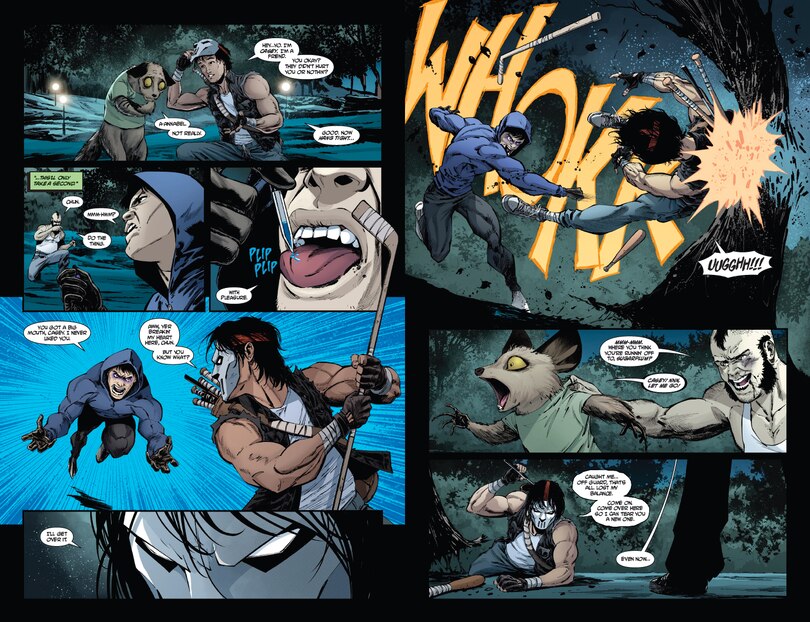 Aper&ccedil;u du contenu_Teenage Mutant Ninja Turtles: Casey Jones