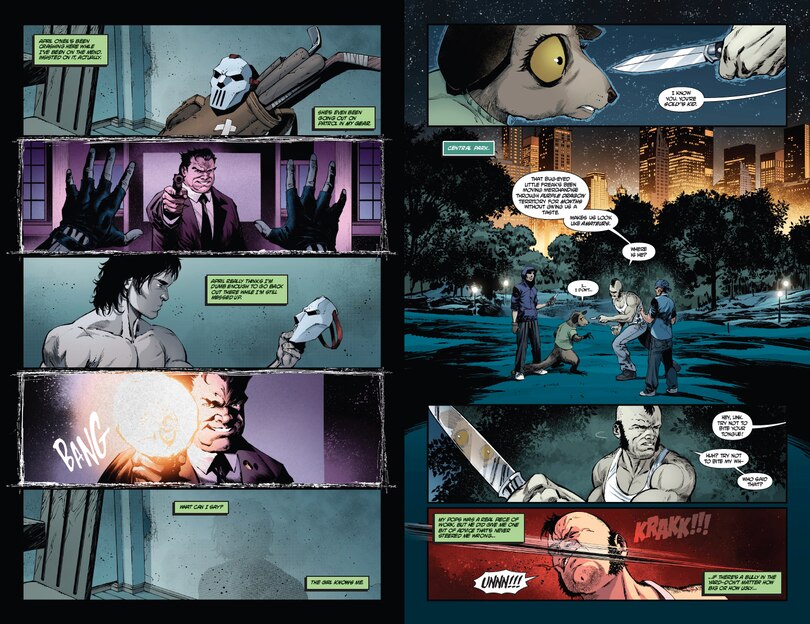 Aper&ccedil;u du contenu 3_Teenage Mutant Ninja Turtles: Casey Jones