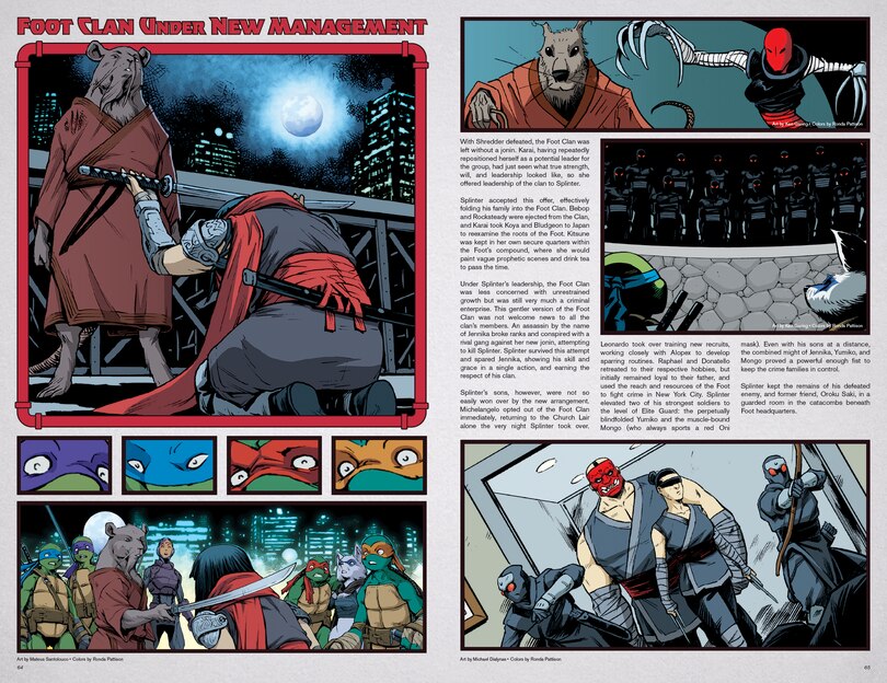 Sample content_Teenage Mutant Ninja Turtles: IDW Sourcebook