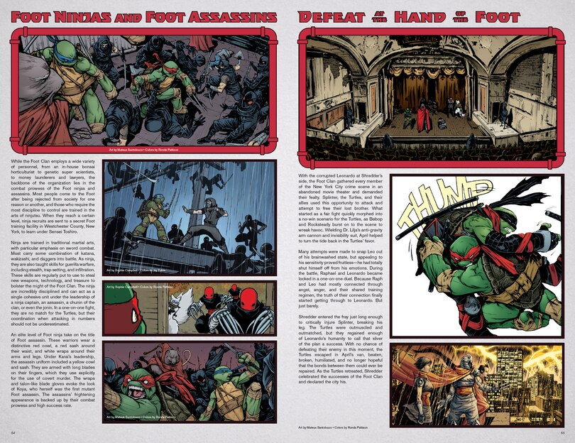 Sample content 3_Teenage Mutant Ninja Turtles: IDW Sourcebook